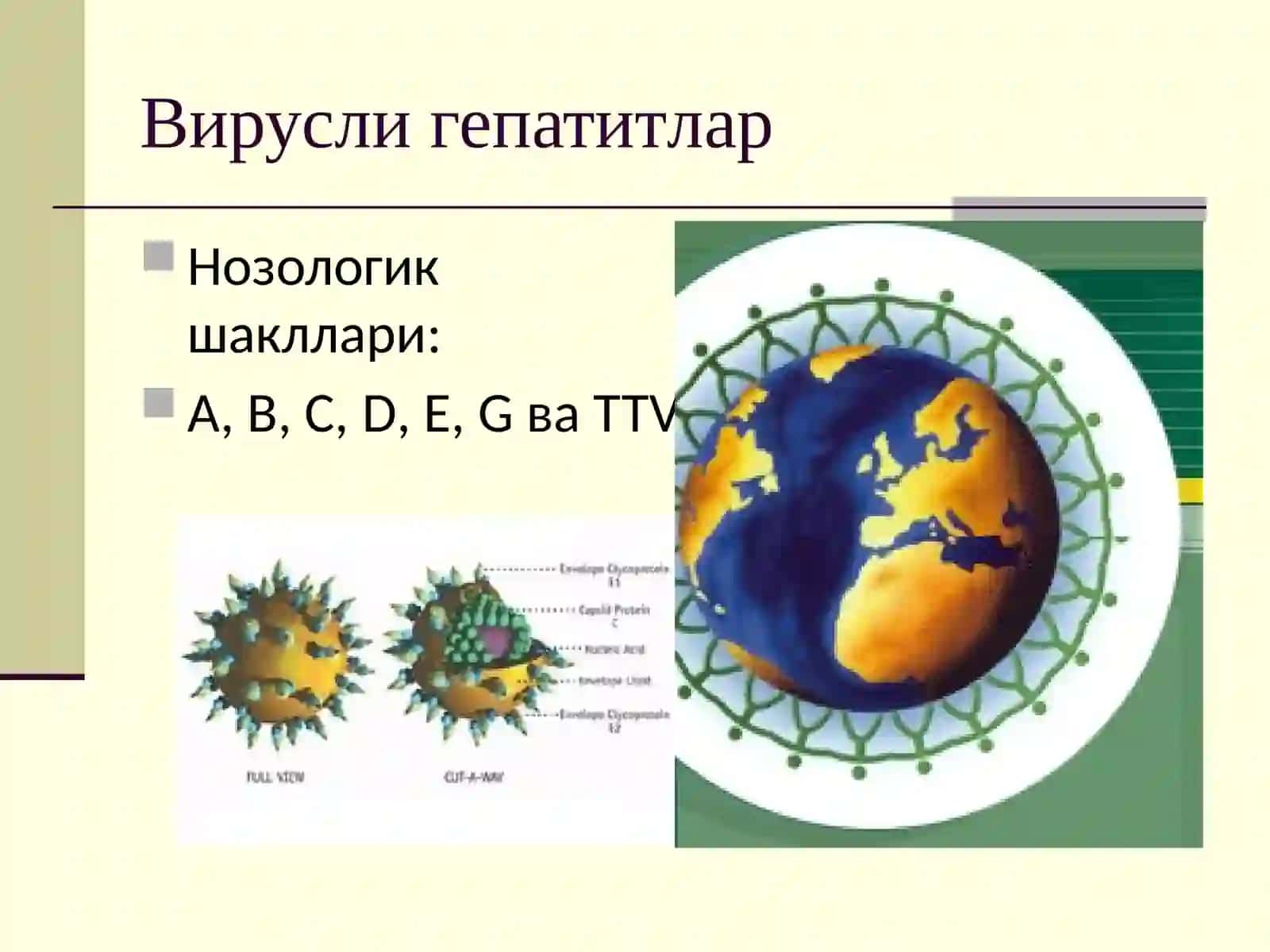Вируслигепатитлар 3