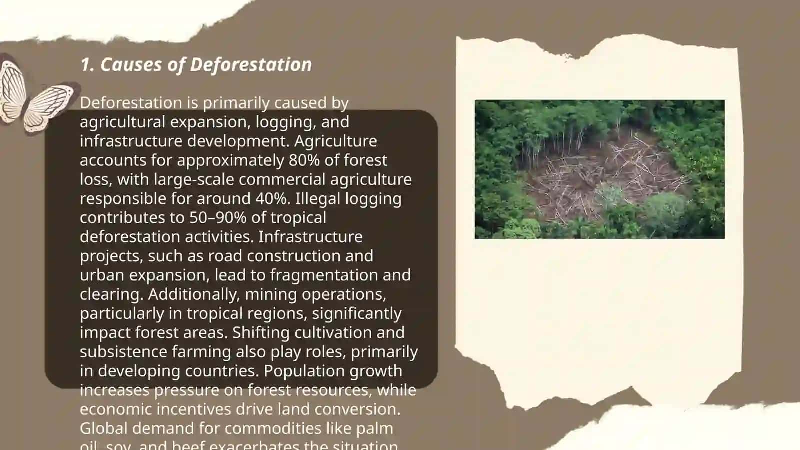 Deforestation 3