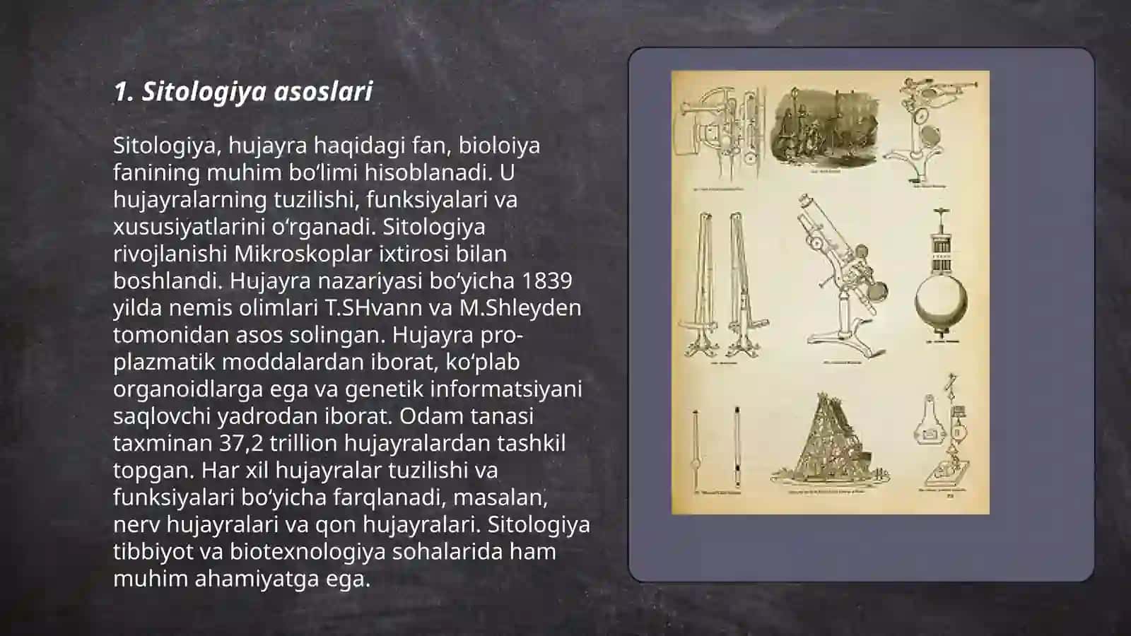 Sitologiya 3