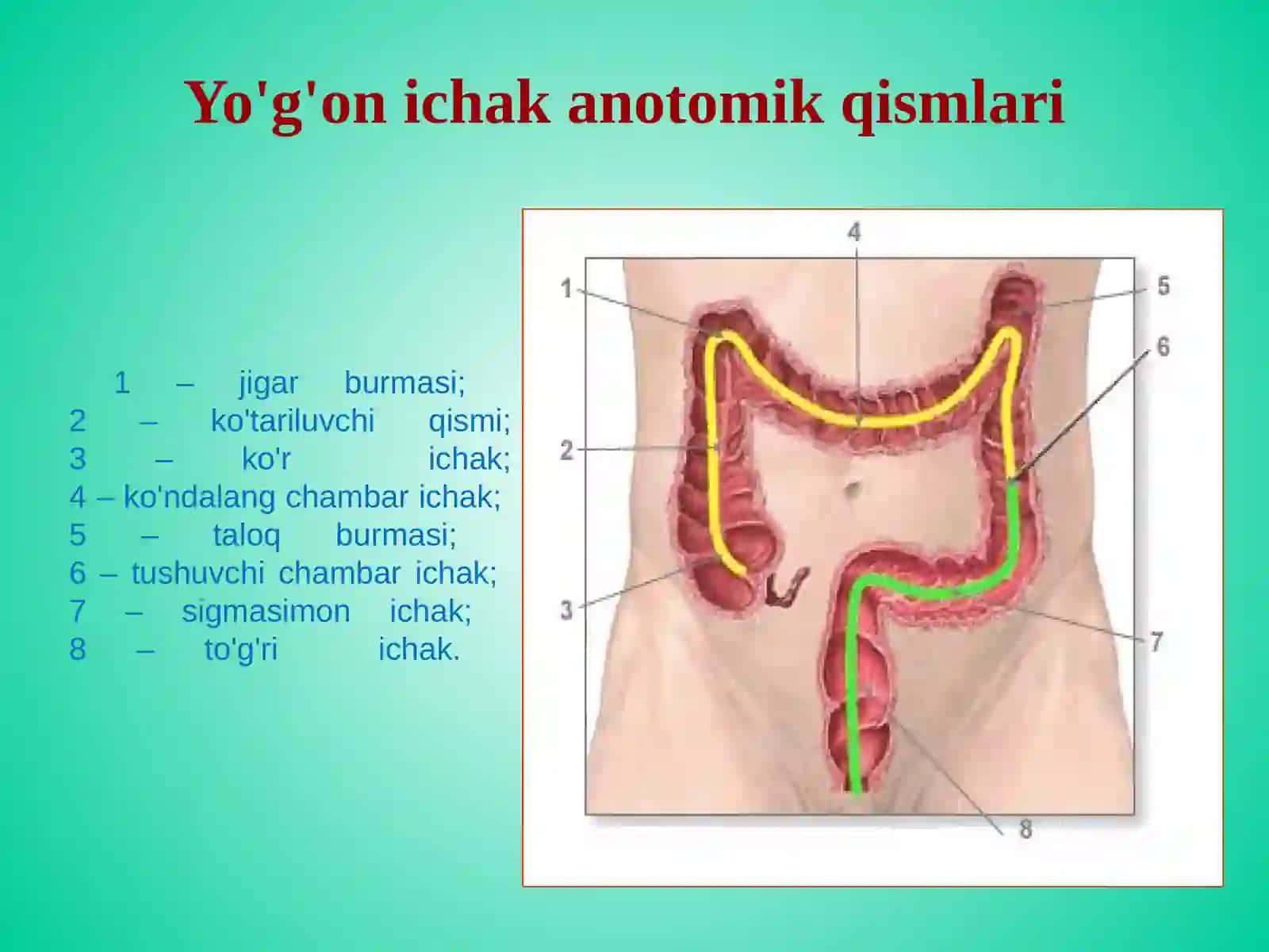 Yo'g'on ichak kasalliklari 3
