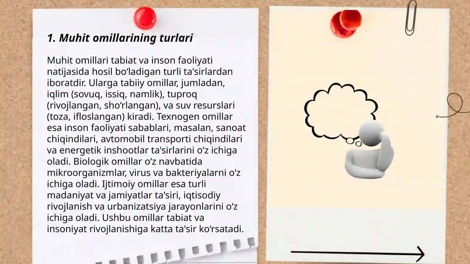 Muhit omillari va ularning tirik organizmlarga ta'siri 3