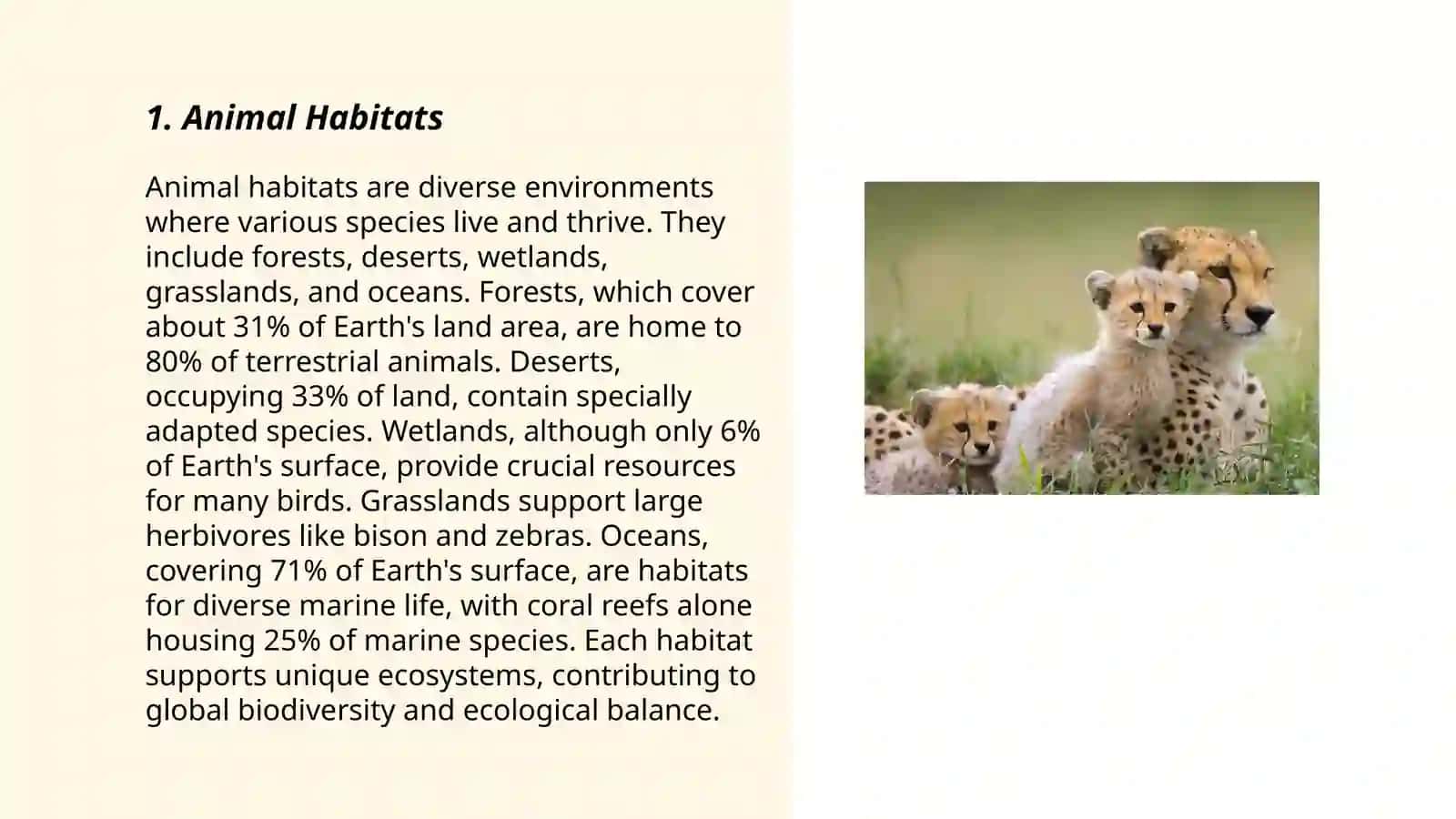 Animals 3