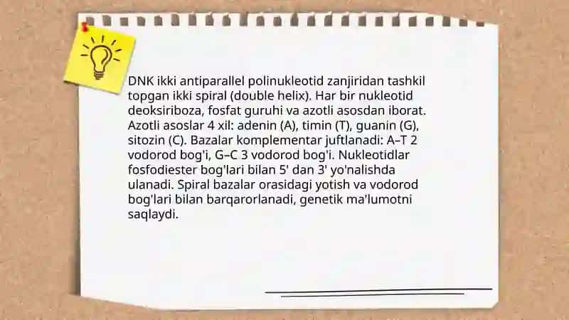 DNK va RNK 3