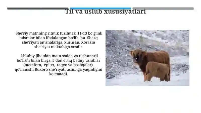 She'r matni tahlili 3