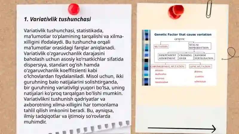 Variativlik turlari 3