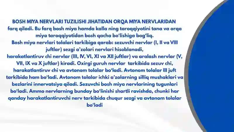 I-VI JUFT BOSH MIYA NERVLARI 3