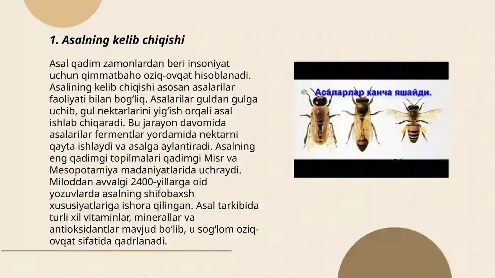 Asal va asalari 3