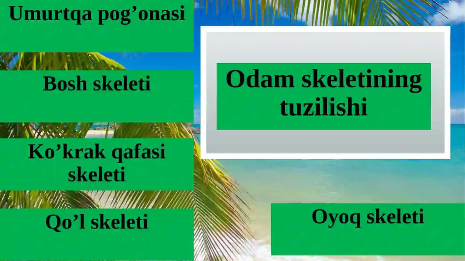 OSTEOLOGIYA SUYAKLAR XAQIDAGI FAN 3