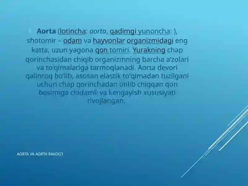Aorta va aorta ravogi 3
