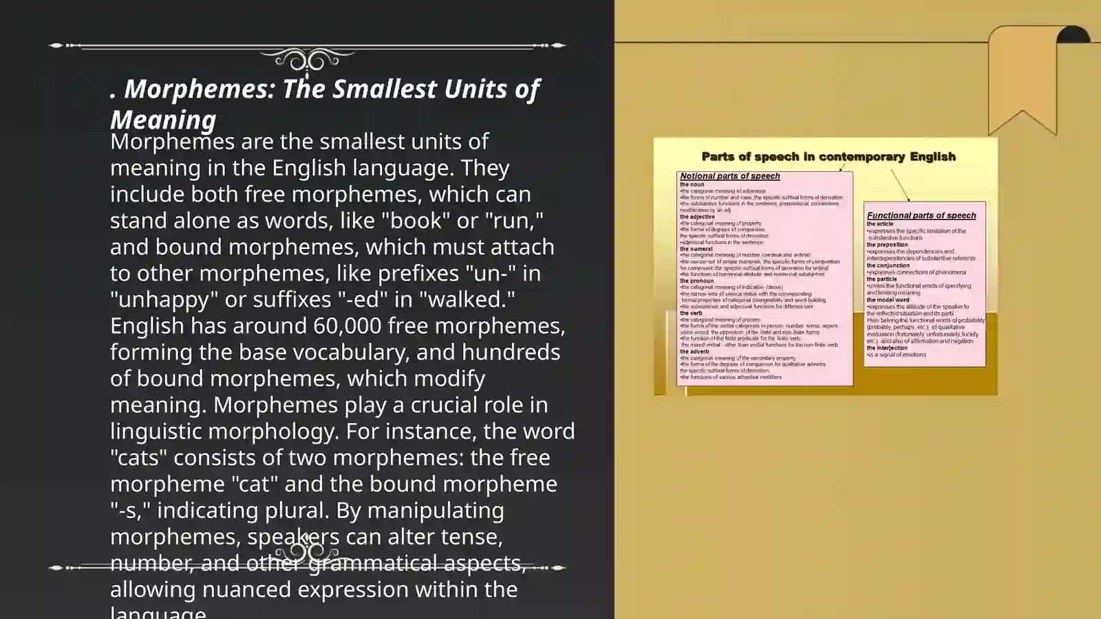Morphology language 3