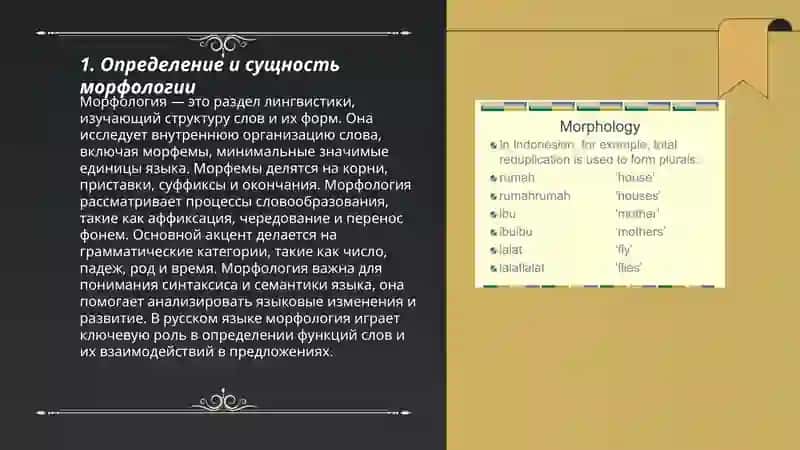 Морфология 3