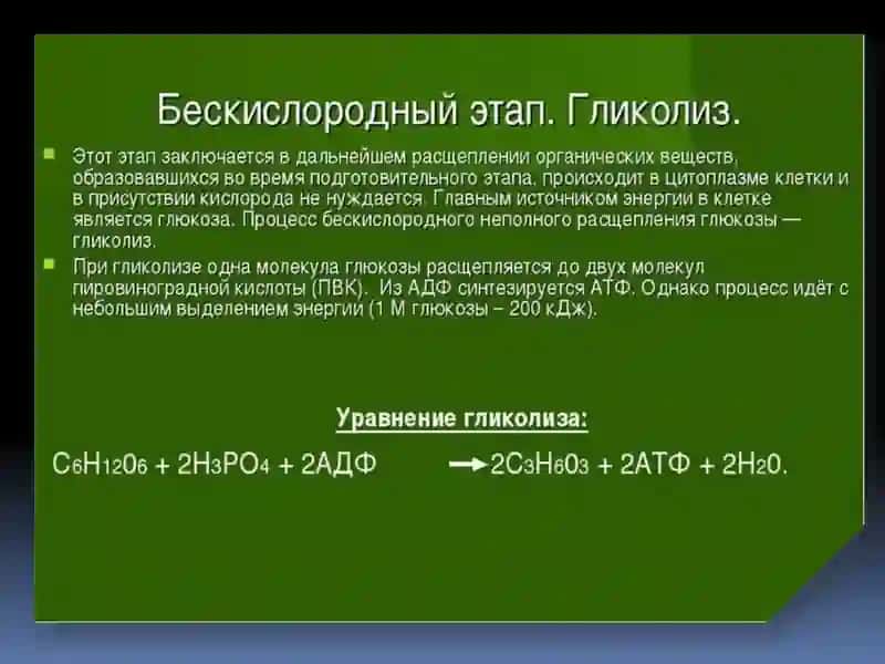 Гликолиз 3