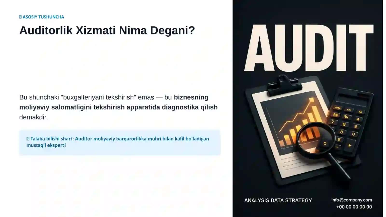 Auditorlik Tashkilotlarining Professional Xizmatlari 3