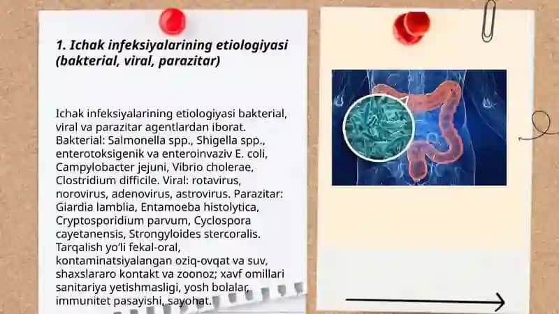 Ichak infeksiyalari 3