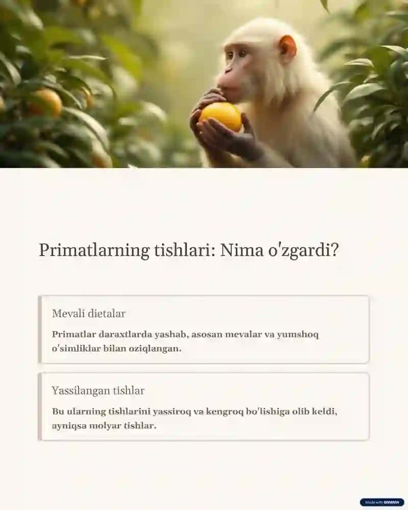 tish evolutsiyasi 3