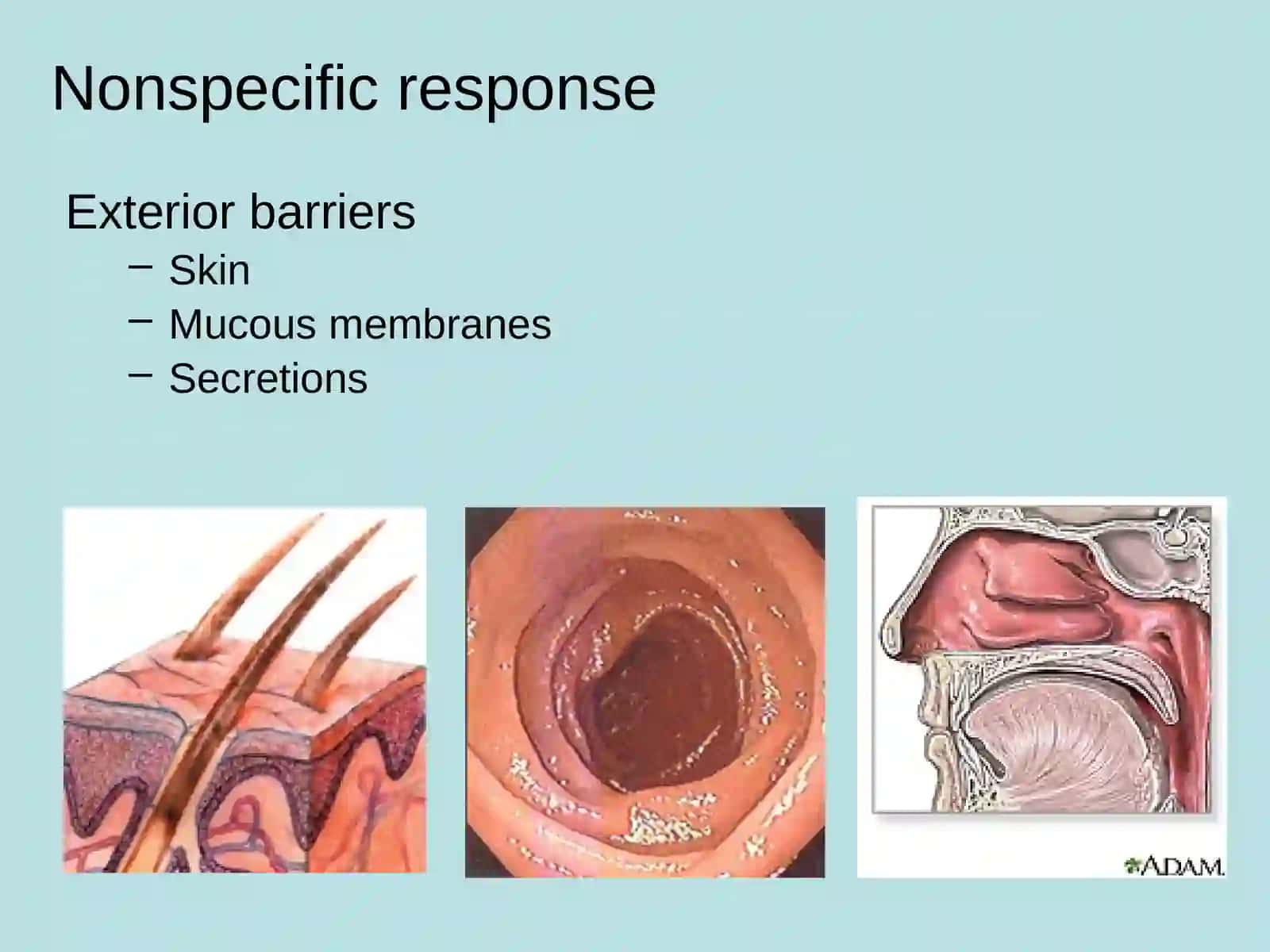 Basic Organization and Function of the Immune System 3