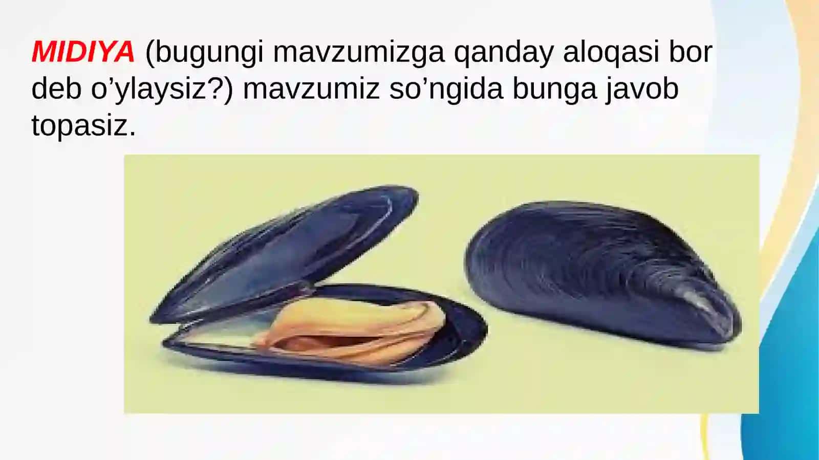 Ne’matova Bahor 3