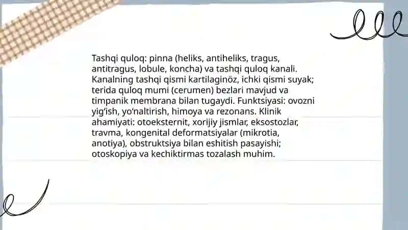 Quloqning klinik anatomiyasi 3