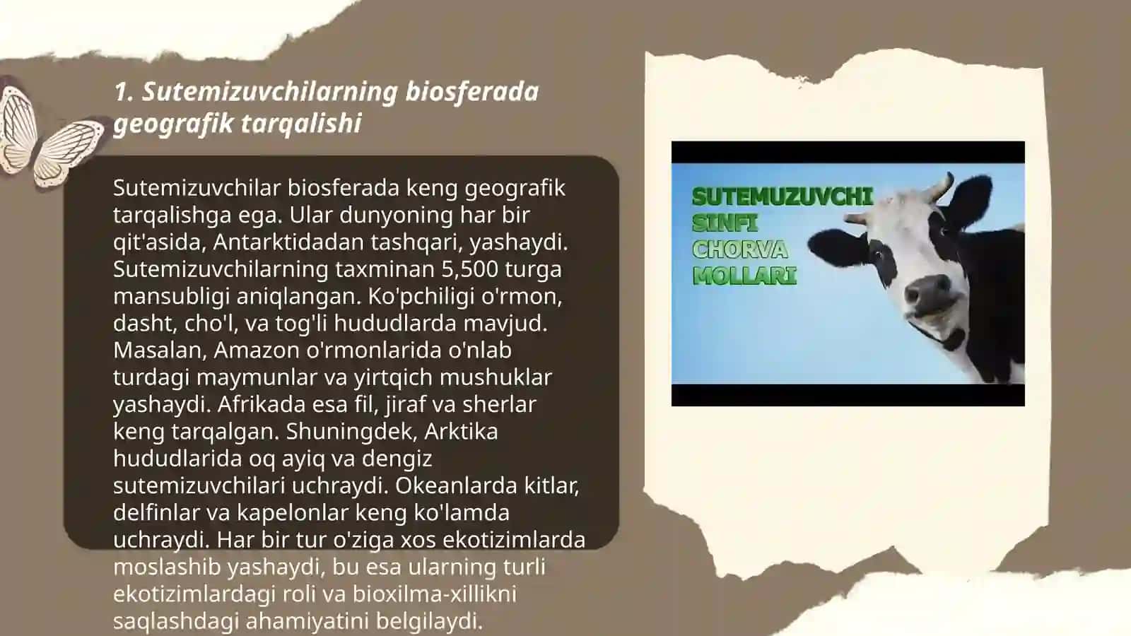 Sutemizuvchilarning biosferada tarqalishi va yashash muhitlari 3
