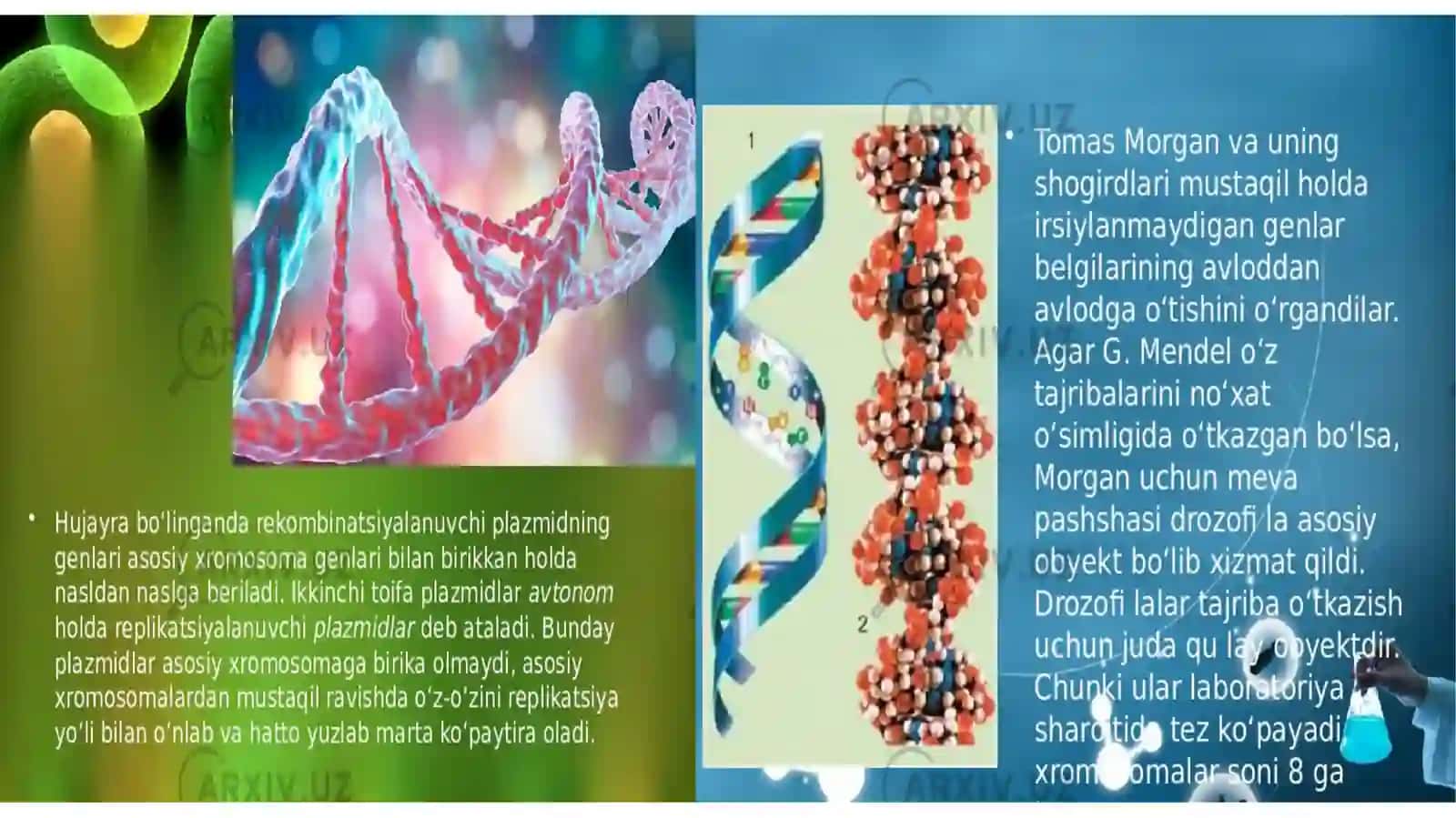 Mendel va Morgan tajribalari 3