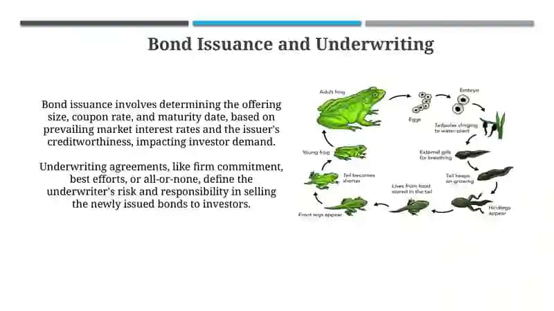 Bond life cycle 3