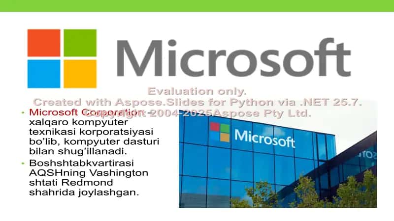 Microsoft kompaniyasi 3