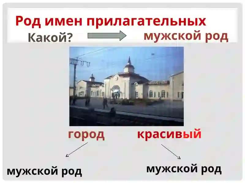 Имя прилагательное 3