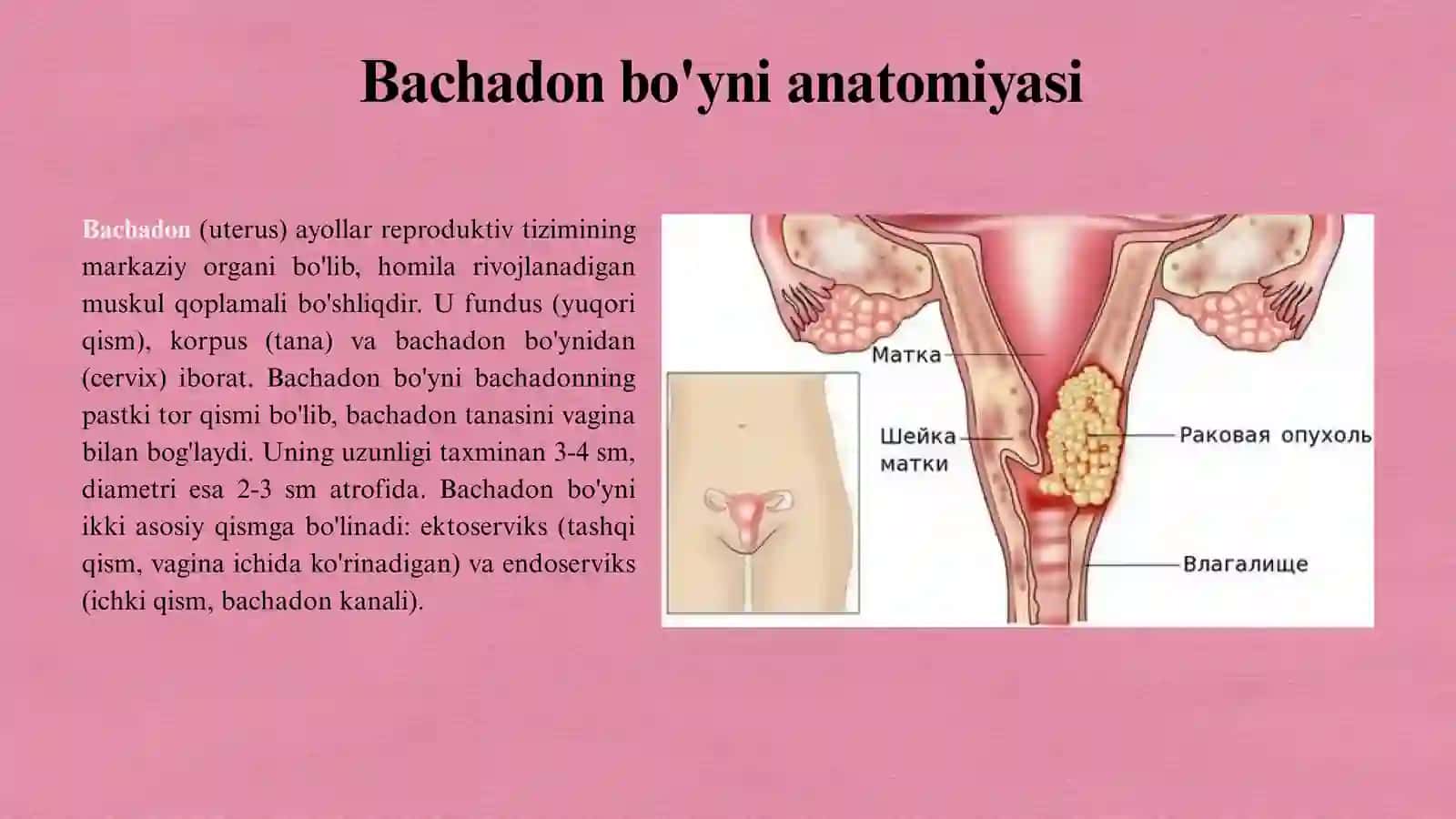 Bachadon bo'yni saratoniga 3