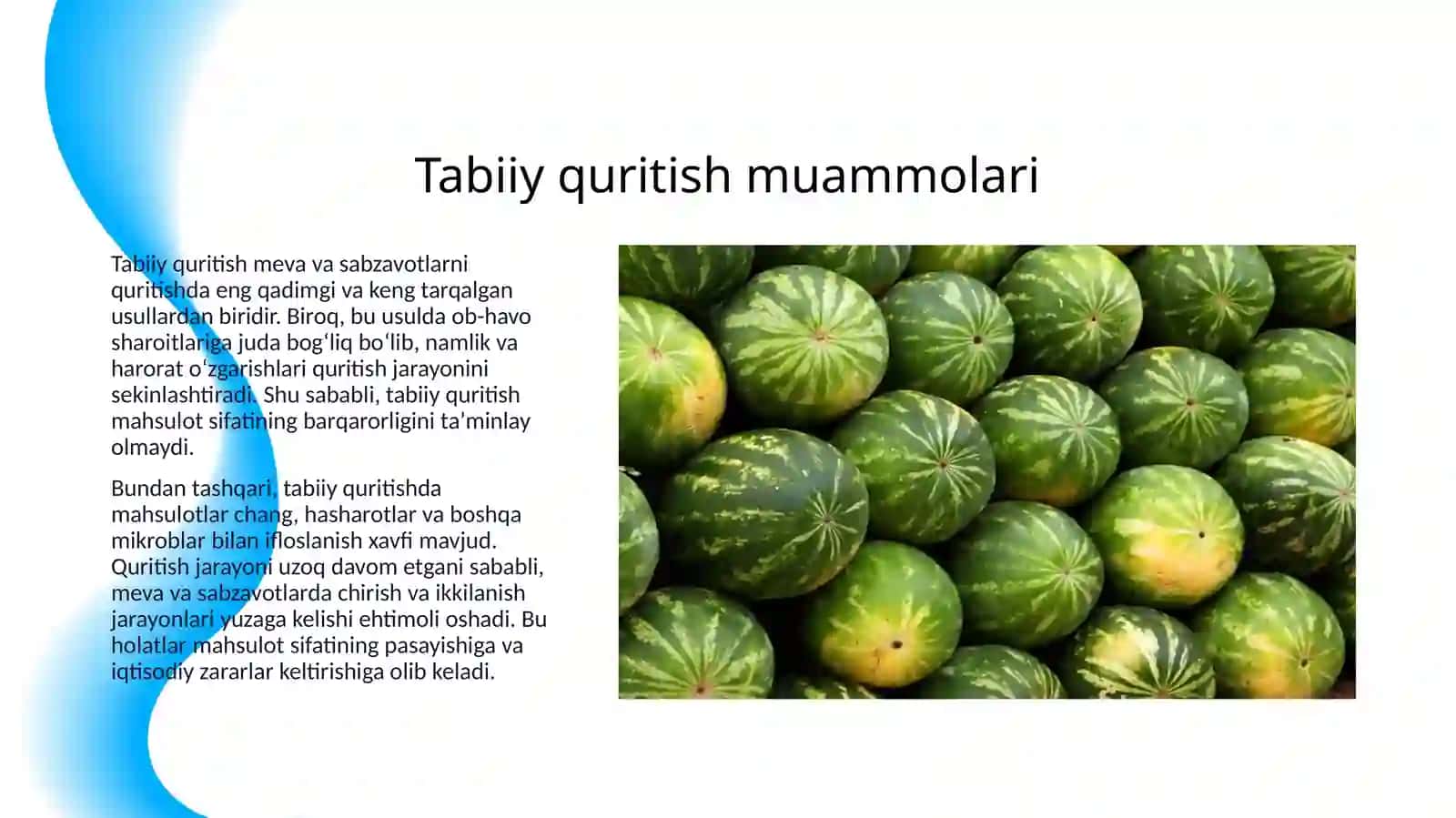 MEVA - UZUM VA SABZAVOTLARNI SUN’IY USULDA QURITISH 3