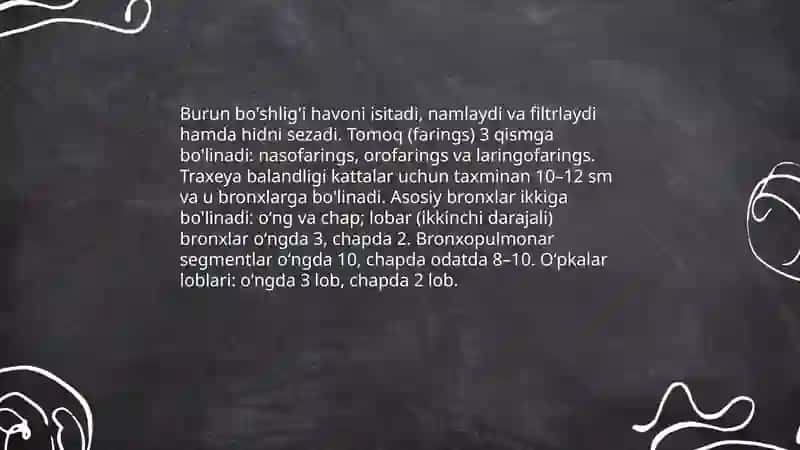 Nafas olish tizimi 3