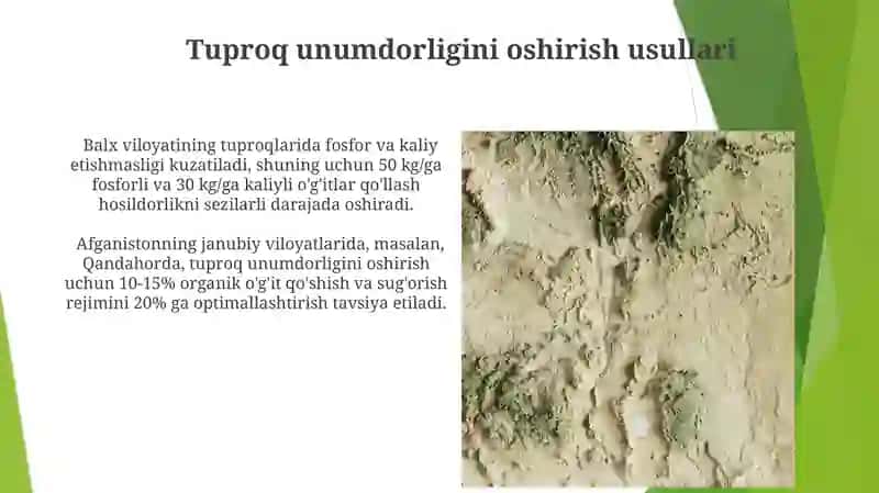 Afg'oniston tuproqlari 3