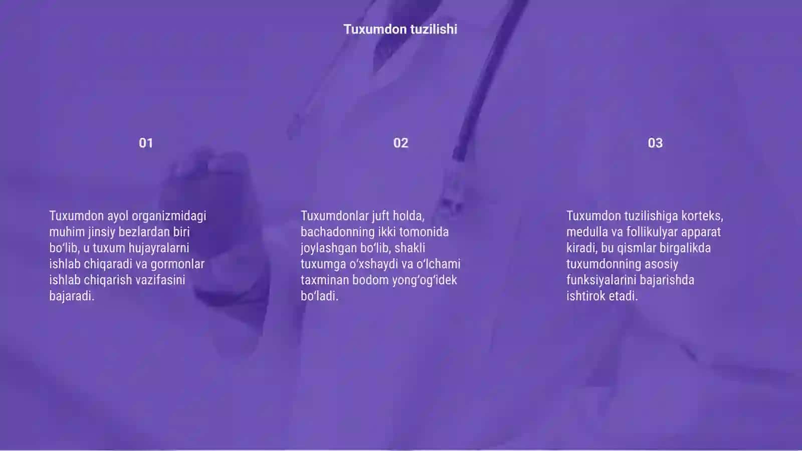 Tuxumdon 3