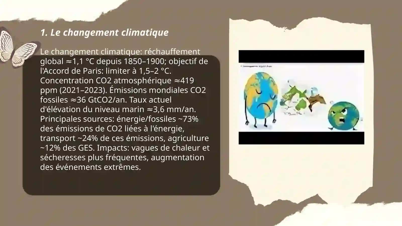 L'environnement 3