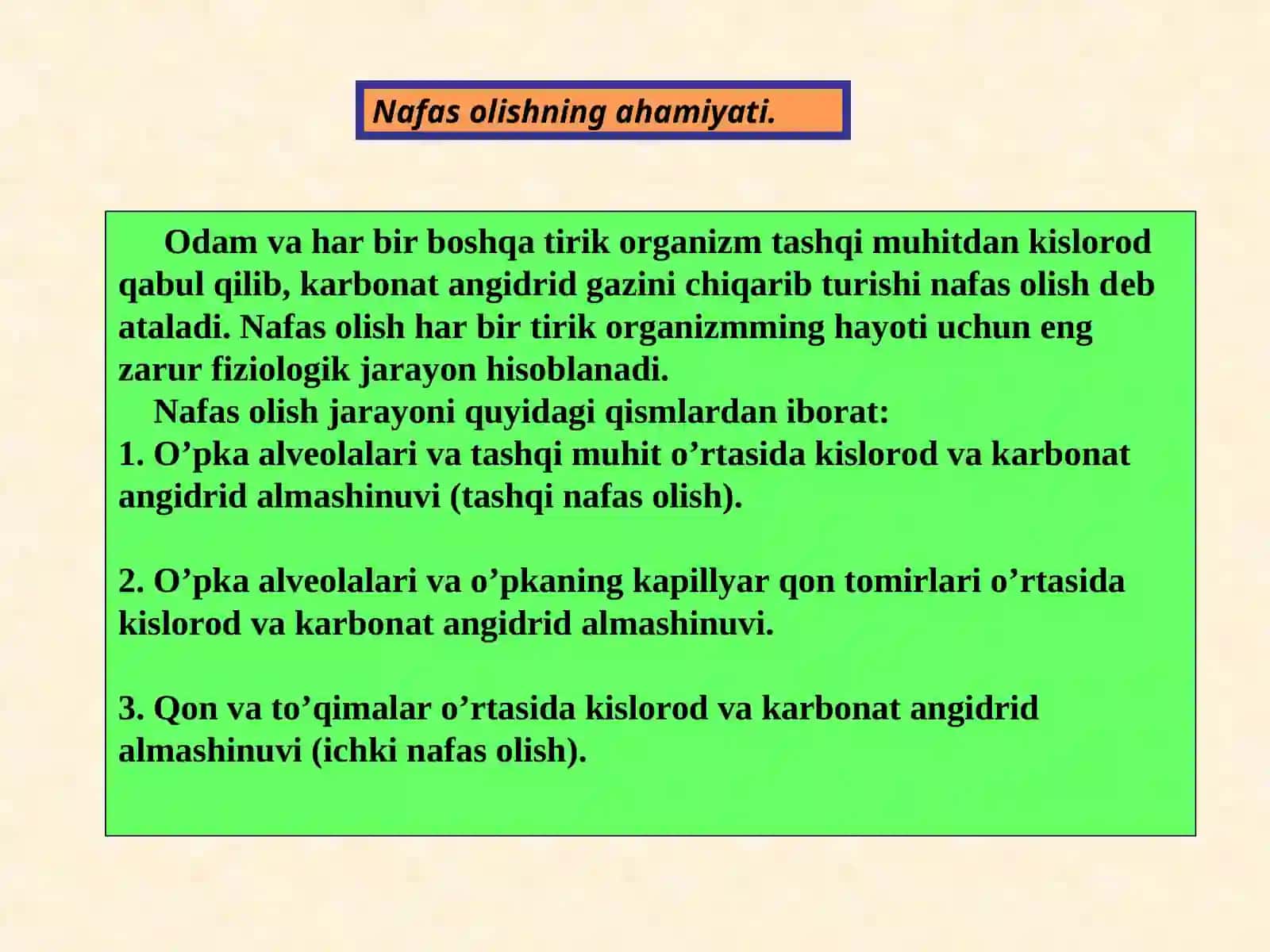 Nafas olish tizimi 3