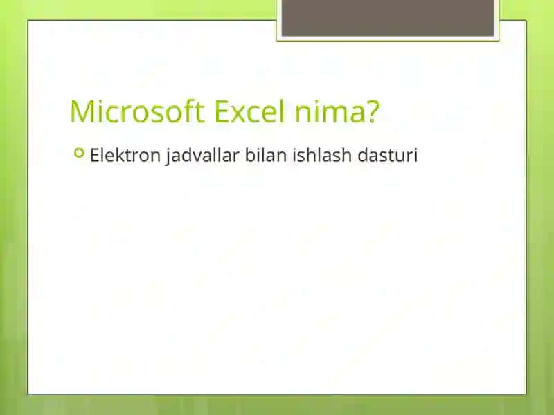 Microsoft Excel 3