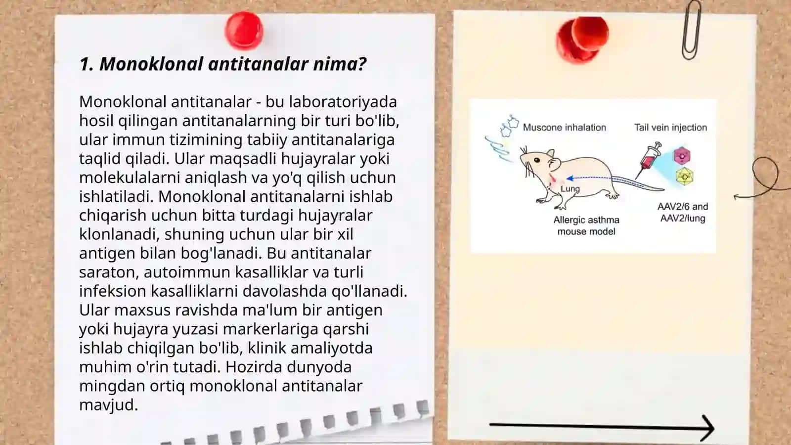 Monoklonal antitelalar 3