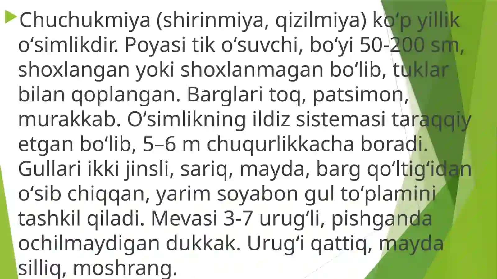 Shirinmiya 3