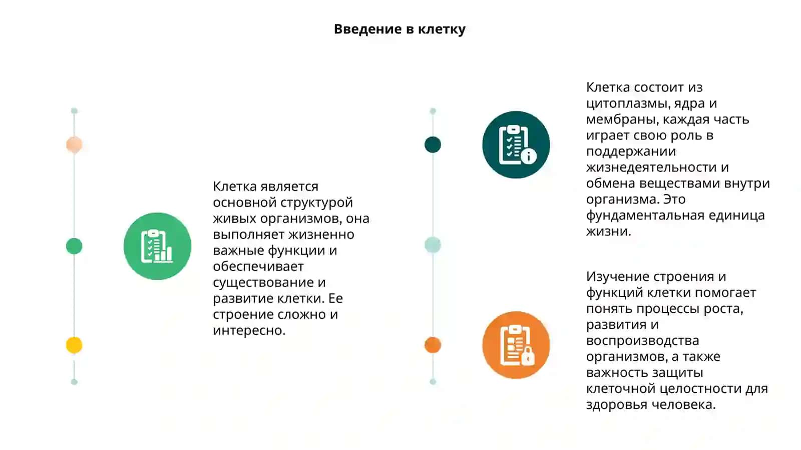 Клетка и её строение 3