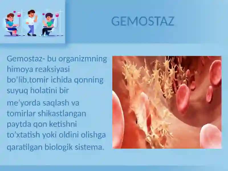 Gemostaz 3
