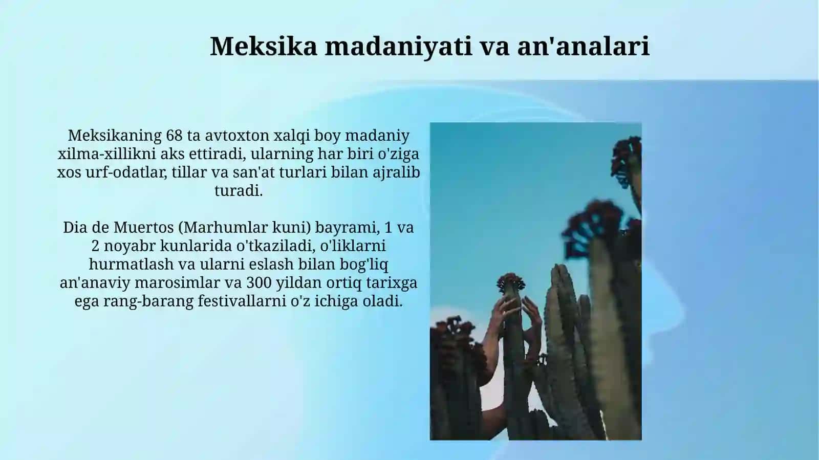 Meksika turizmi 3