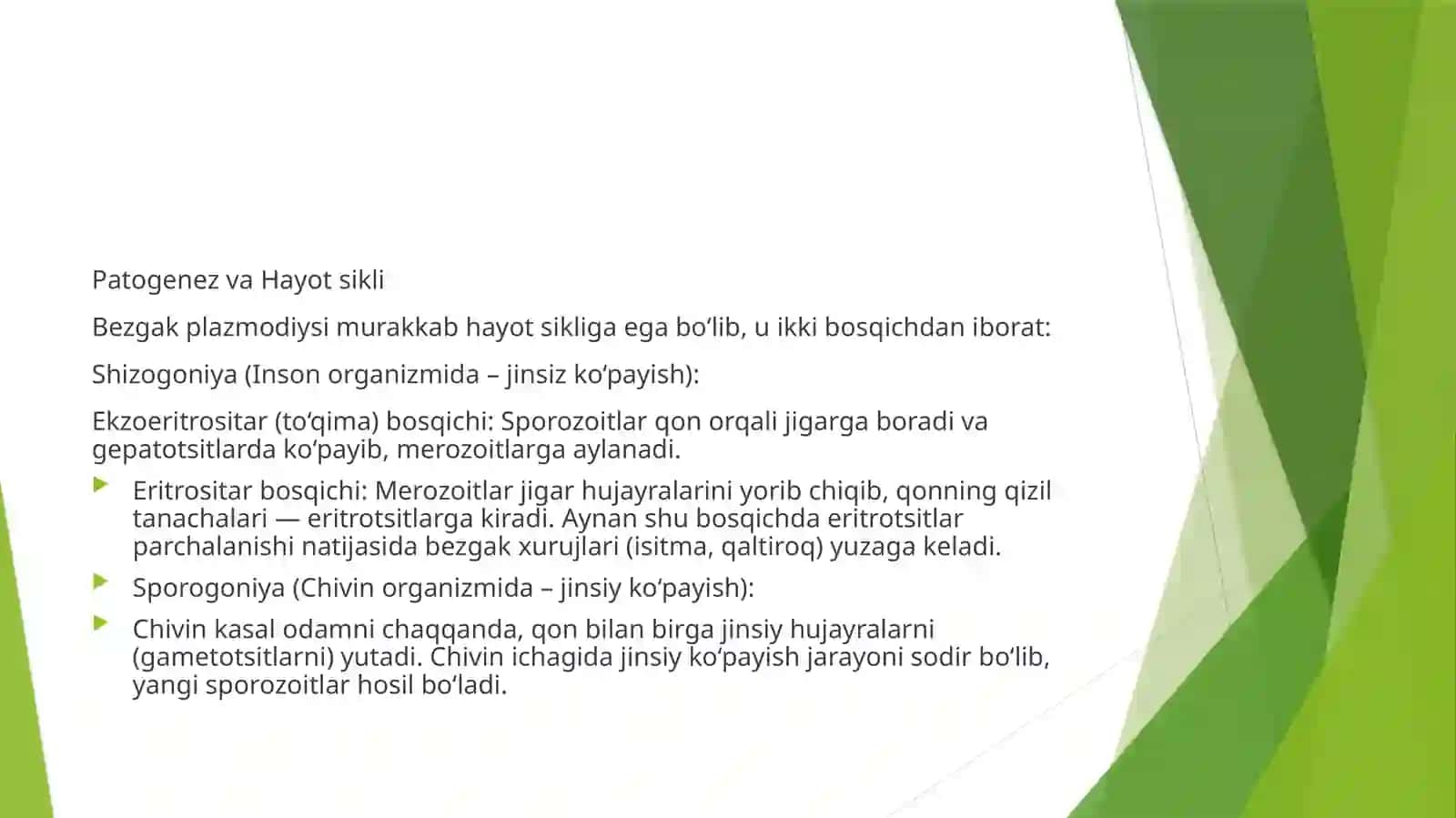 Bezgak 3