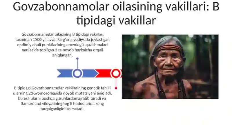Govzabonnamolar qabilasi 3