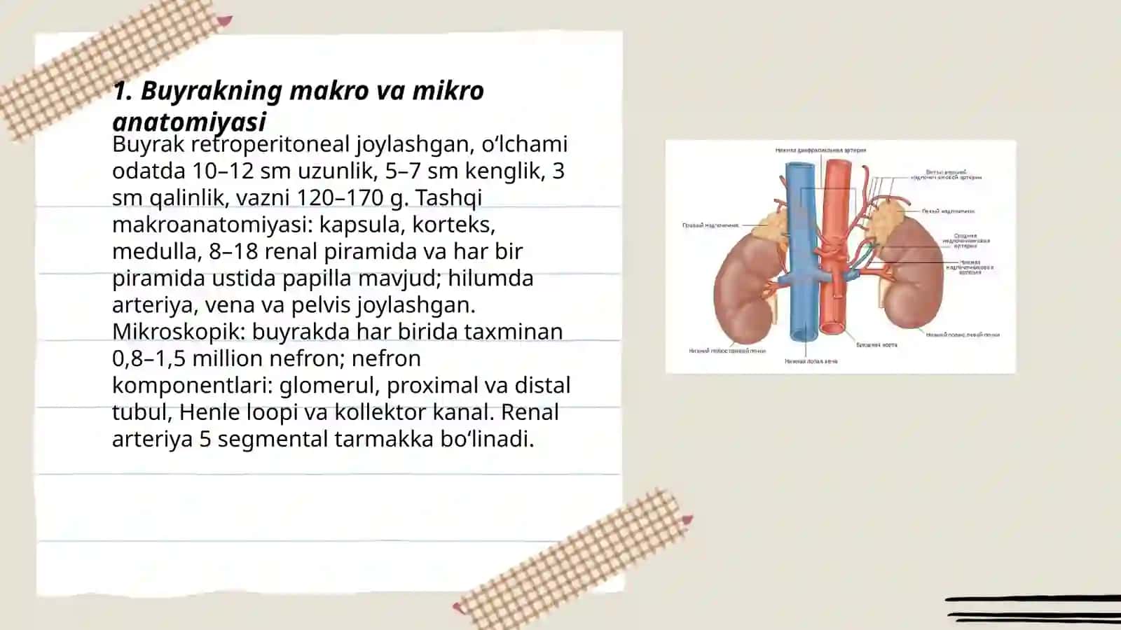 Retroperitoneal aʼzolar 3