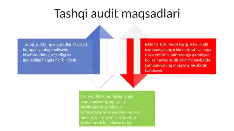 Ichki Va Tashqi Audit 3