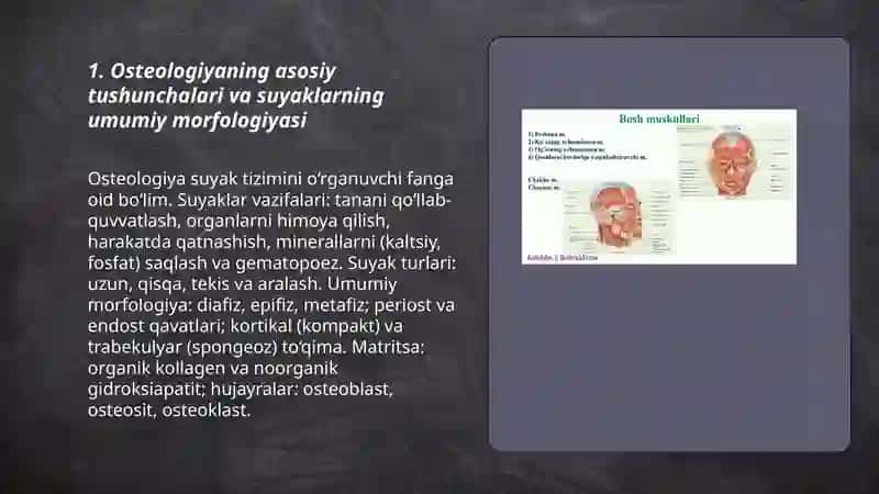 Tayanch-harakatlanish sistemasi(osteologiya). Muskul sistemasi(miologiya) 3