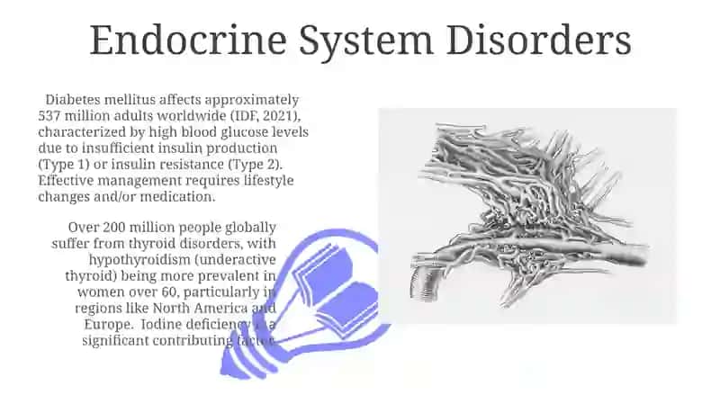 Endocrine system 3