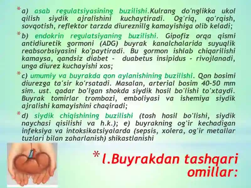 Buyrak kasalliklari 3