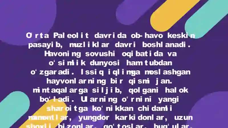 O'rta Paleolit davri manzilgohlari 3