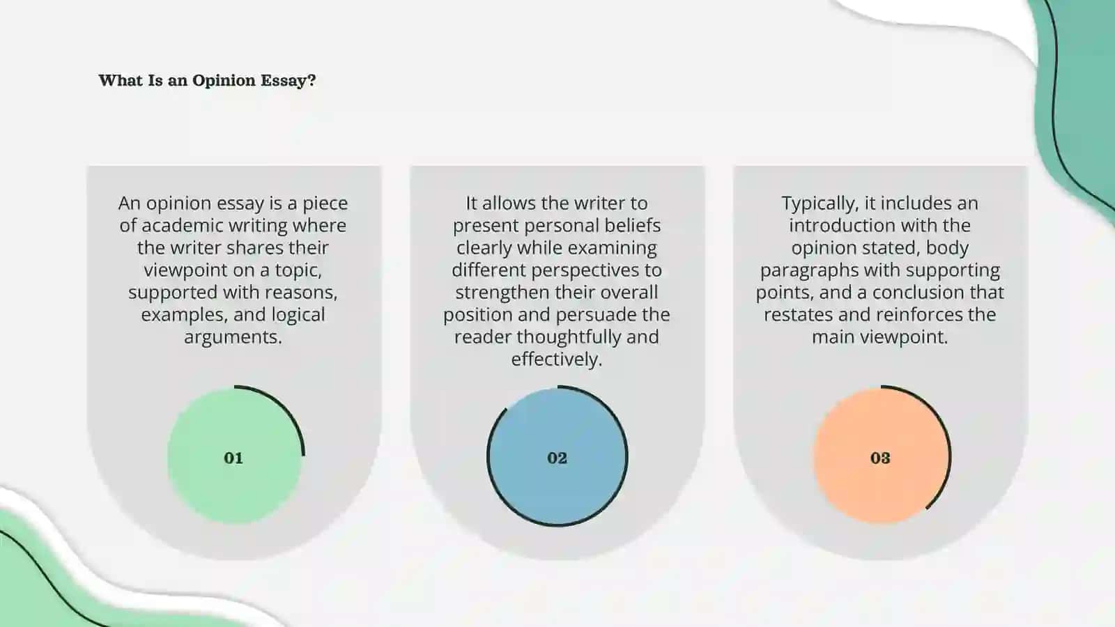 Opinion essay 3