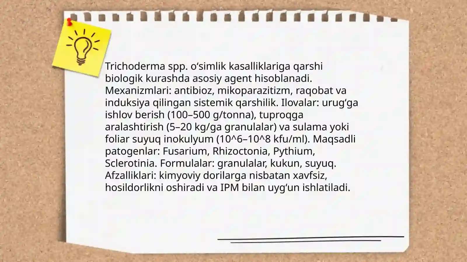 Trichoderma spp 3